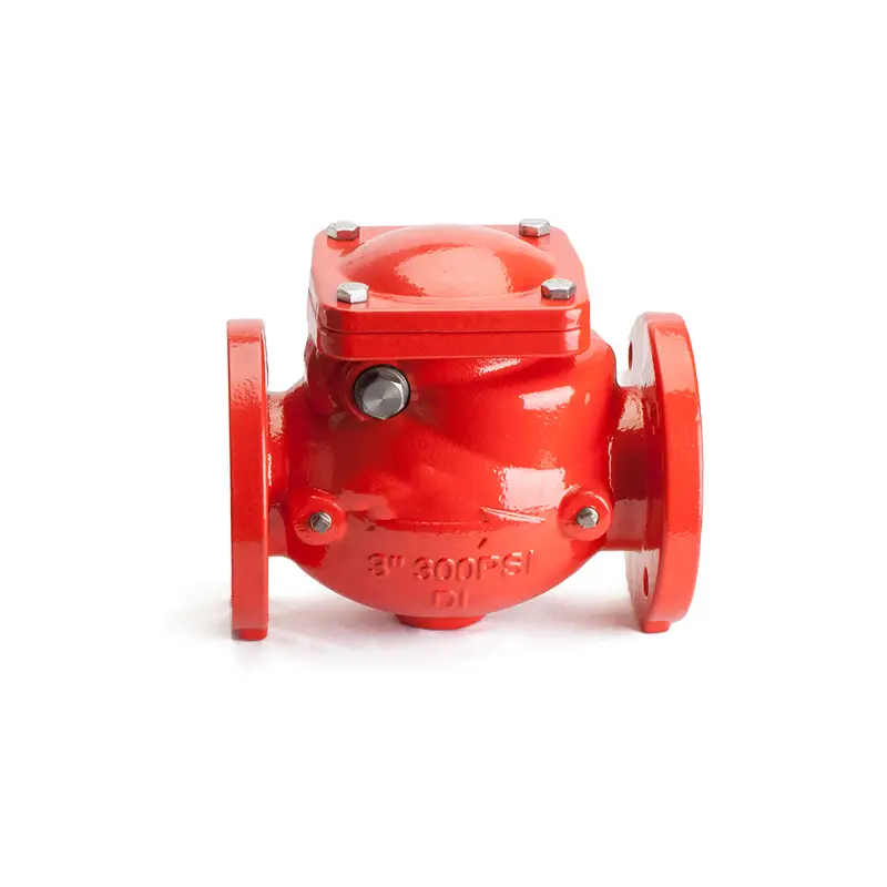 Flanged Swing Check Valve.png-1 Flanged Swing Check Valve