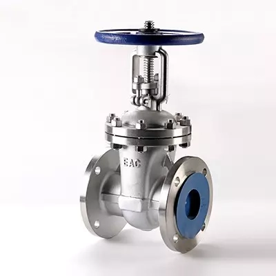 Stainless Steel Gate Valves