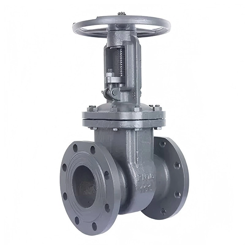 WCB Gate Valve