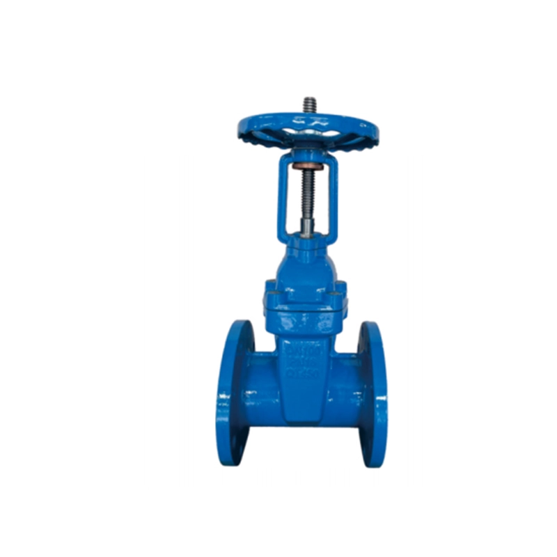 Rising Resilient Seat Gate Valve Z41X.png Rising Resilient Seat Gate Valve Z41X