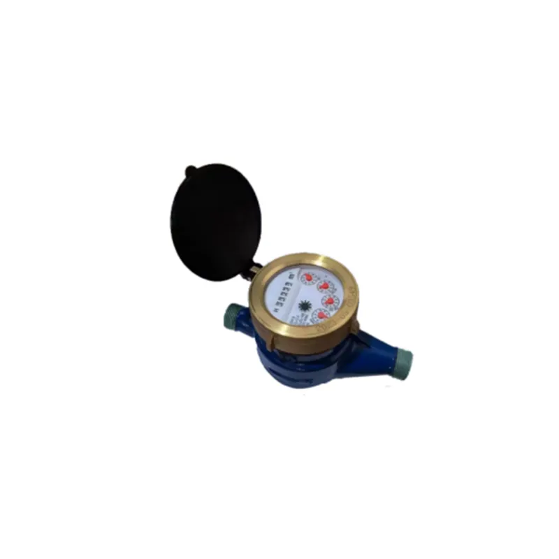 Water Meter Screwed End BSPT.png Water Meter/Screwed End BSPT